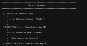 Fixing SSH Locale Warnings on macOS / Debian
