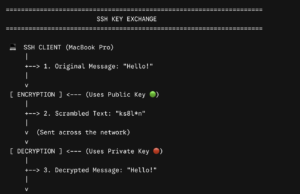 Fixing SSH Locale Warnings on macOS / Debian